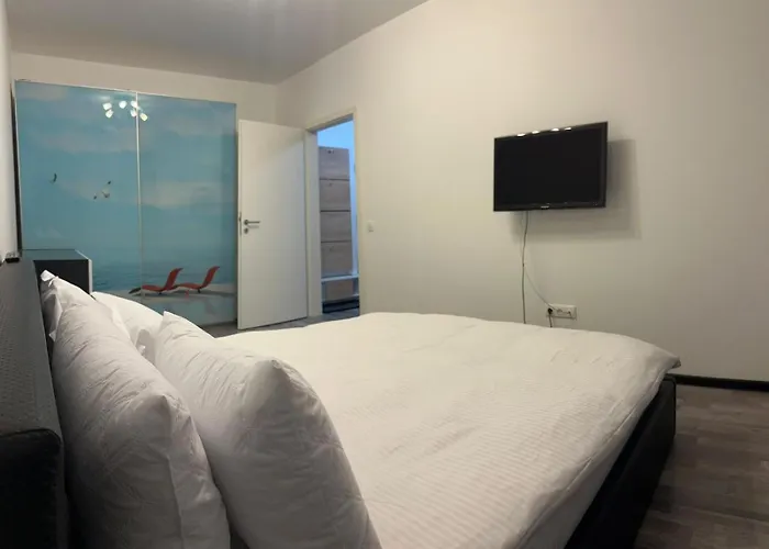 Kronstadter 2 * 布拉索夫